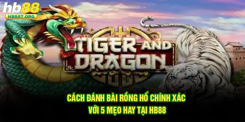 Cách Đánh Bài Rồng Hổ Chính Xác Với 5 Mẹo Hay Tại HB88