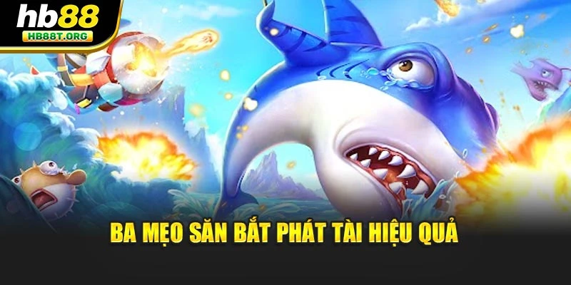 3 mẹo săn bắt phát tài hiệu quả