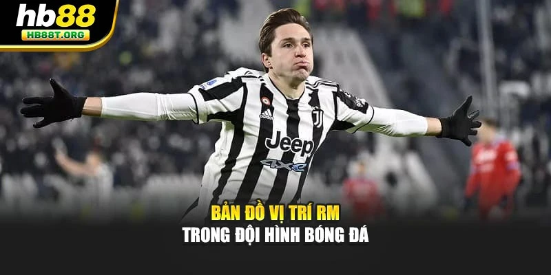 Bản đồ vị trí RM trong đội hình bóng đá