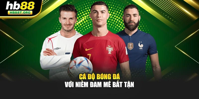 Cá độ Bóng đá với niềm đam mê bất tận