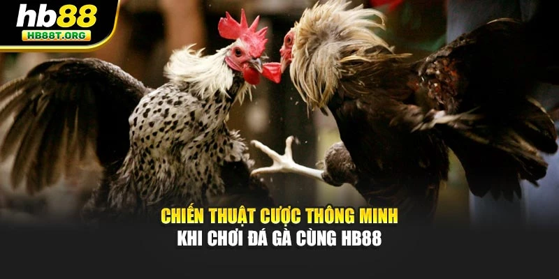 Chiến Thuật Cược Thông Minh Khi Chơi Đá Gà Cùng Hb88