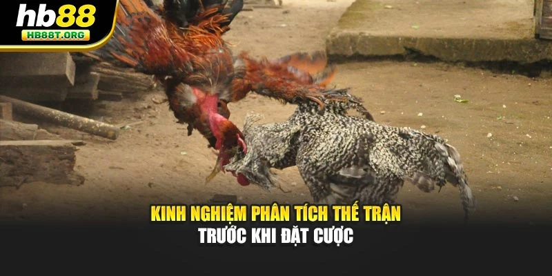 Kinh nghiệm phân tích thế trận trước khi đặt cược
