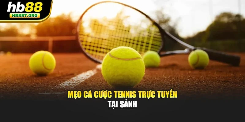 Mẹo cá cược tennis trực tuyến tại sảnh